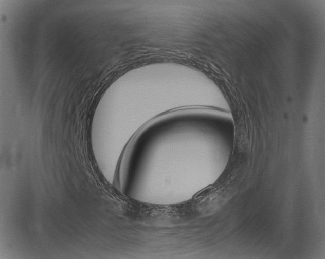 X0000083001345200702011159