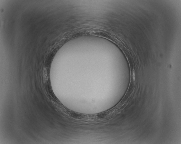 X0000083001347200702011159
