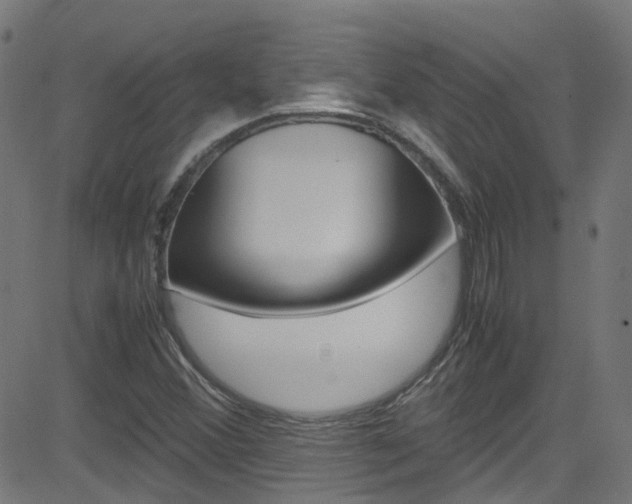 X0000083001356200702011159