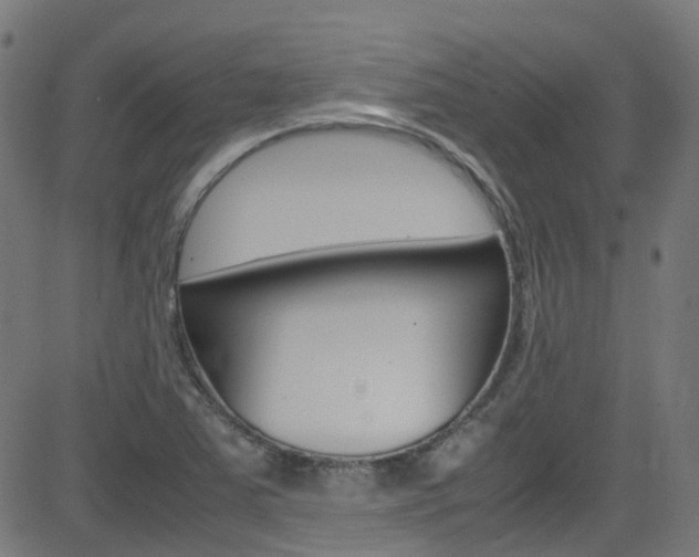 X0000083001363200702011158