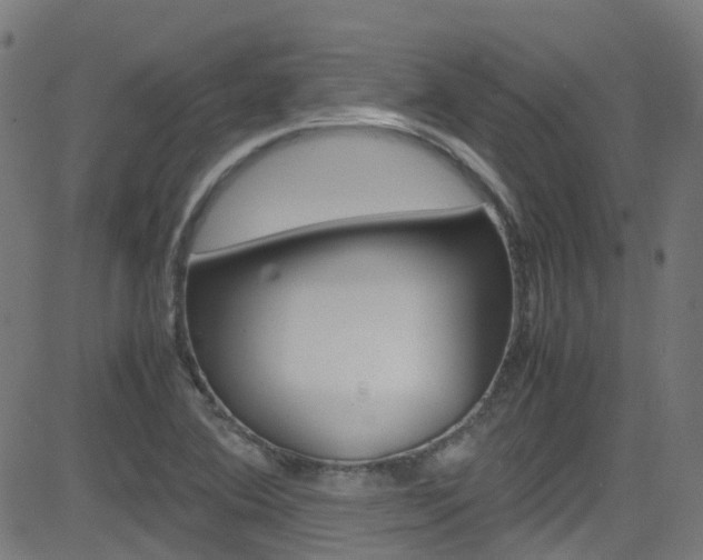 X0000083001364200702011158