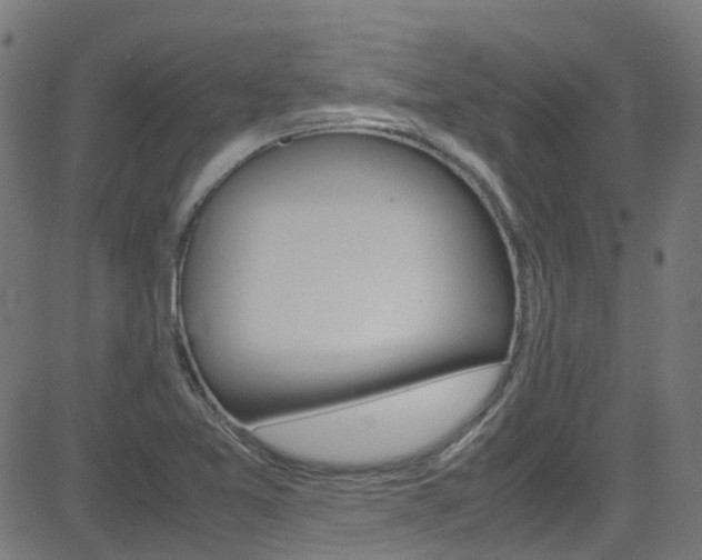 X0000083001365200702011158