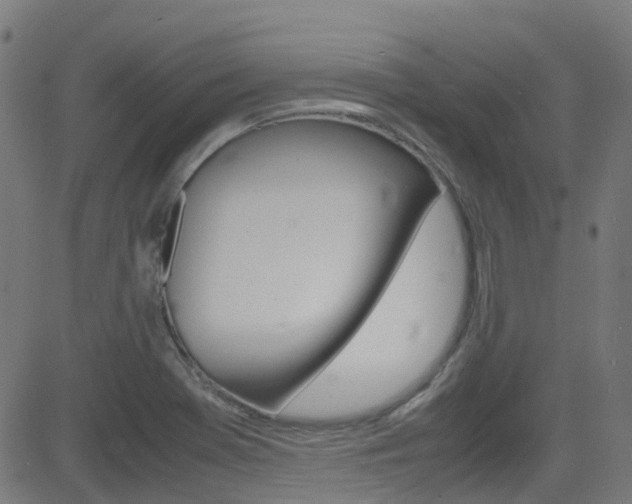 X0000083001369200702011158