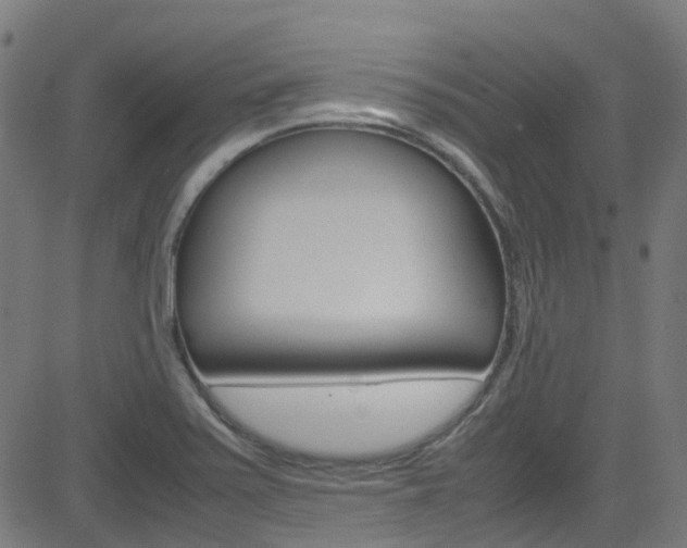 X0000083001371200702011158