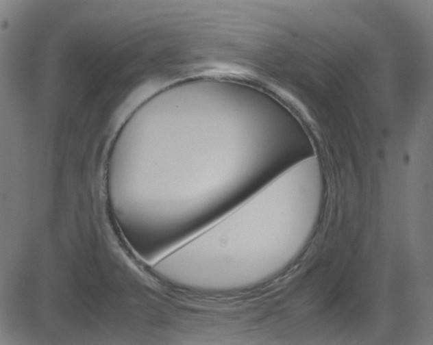 X0000083001375200702011158
