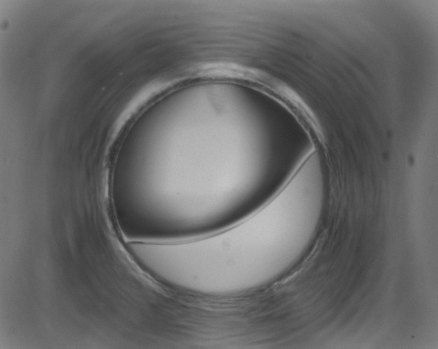 X0000083001376200702011158