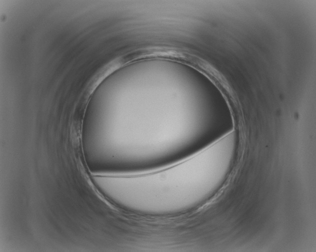 X0000083001377200702011158