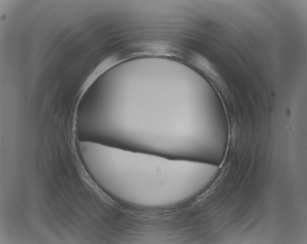 X0000083001378200702011158