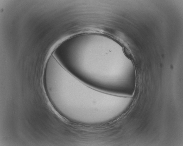X0000083001379200702011158