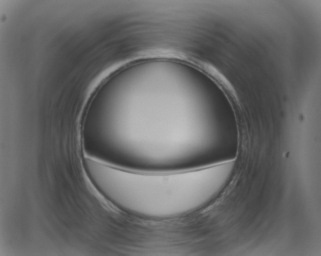 X0000083001380200702011158