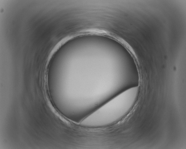 X0000083001381200702011158