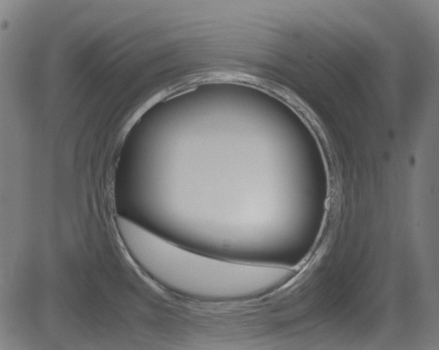 X0000083001385200702011158