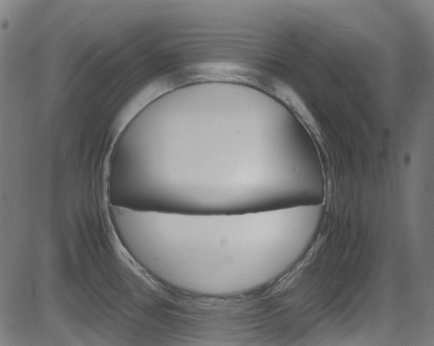 X0000083001386200702011158