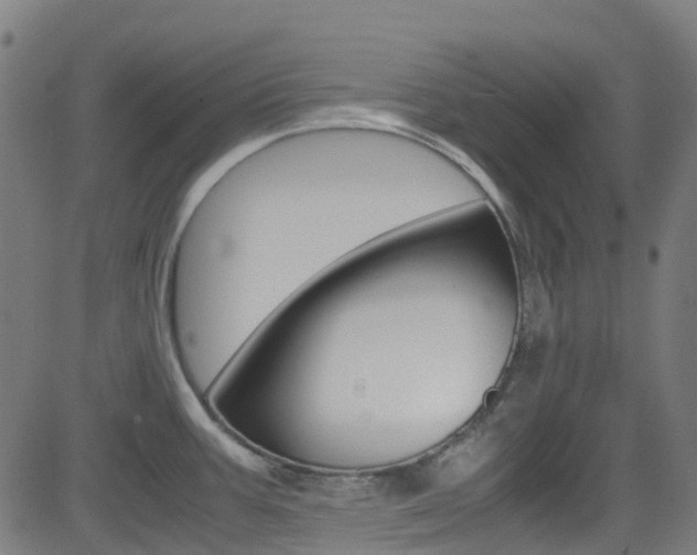 X0000083001387200702011158
