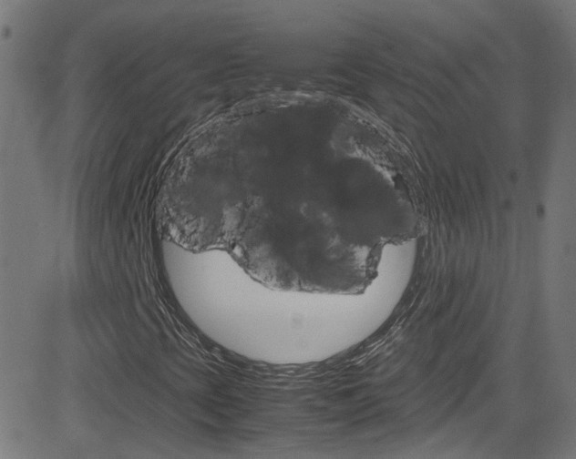 X0000083001393200702011157