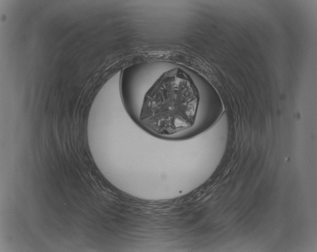 X0000083001394200702011157