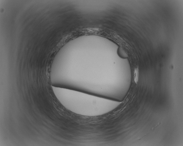 X0000083001395200702011157