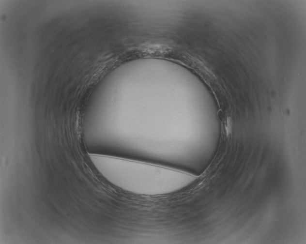 X0000083001396200702011157