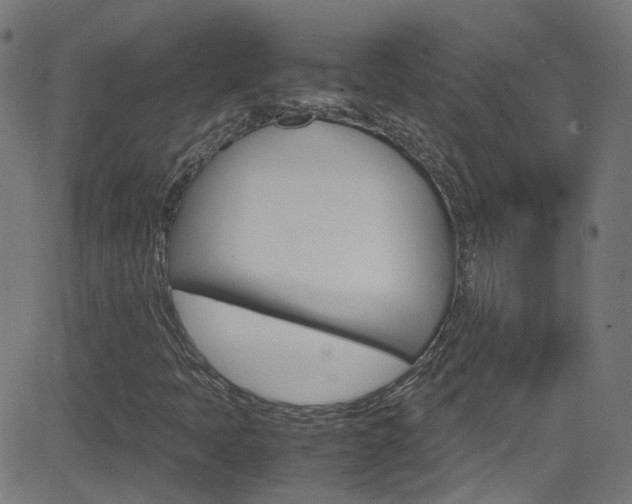 X0000083001397200702011157