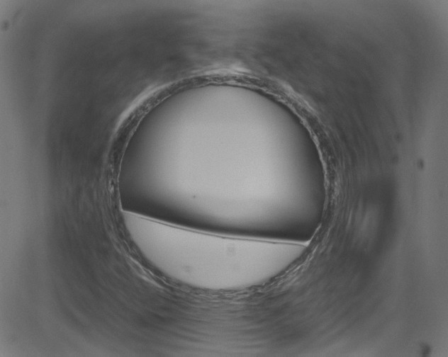 X0000083001400200702011157