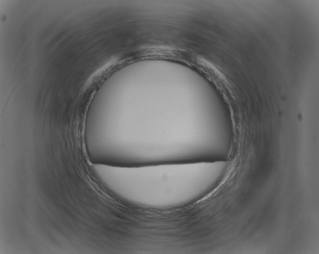 X0000083001403200702011157