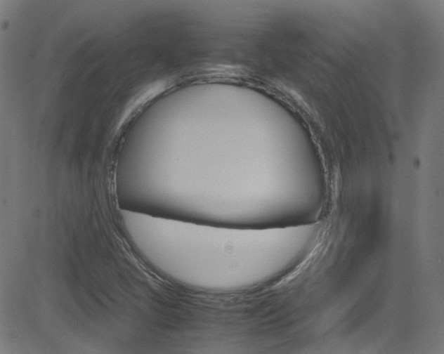 X0000083001405200702011157