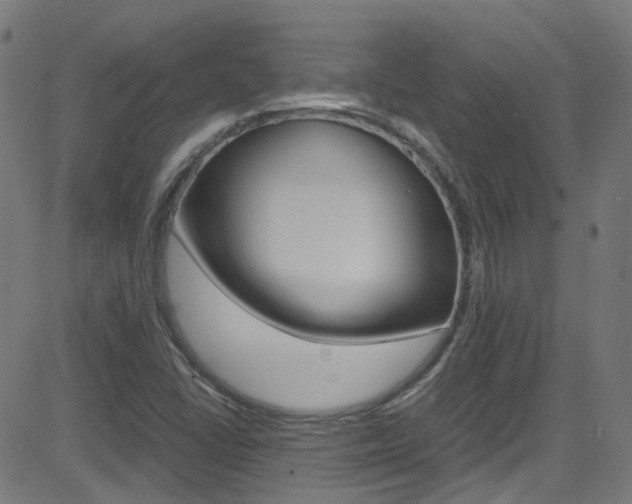 X0000083001406200702011157