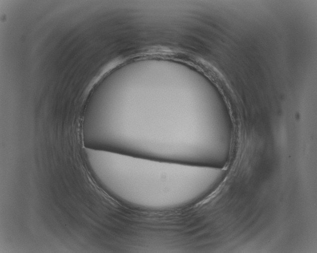 X0000083001409200702011157