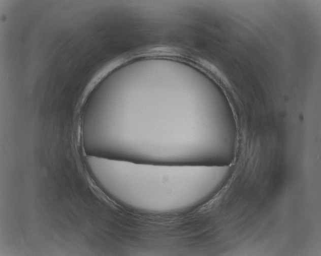 X0000083001413200702011158