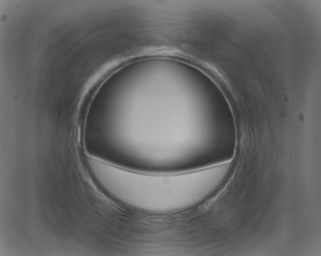 X0000083001414200702011158