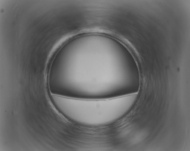 X0000083001416200702011158