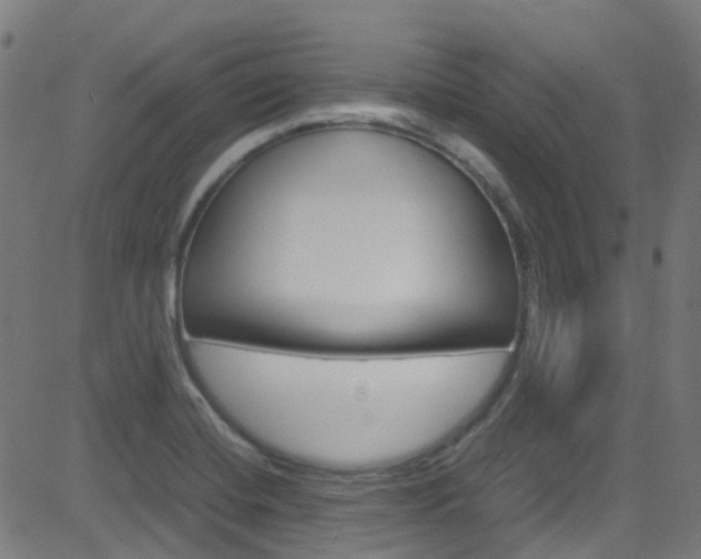 X0000083001420200702011158