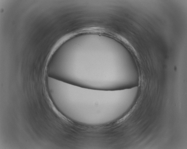 X0000083001421200702011158