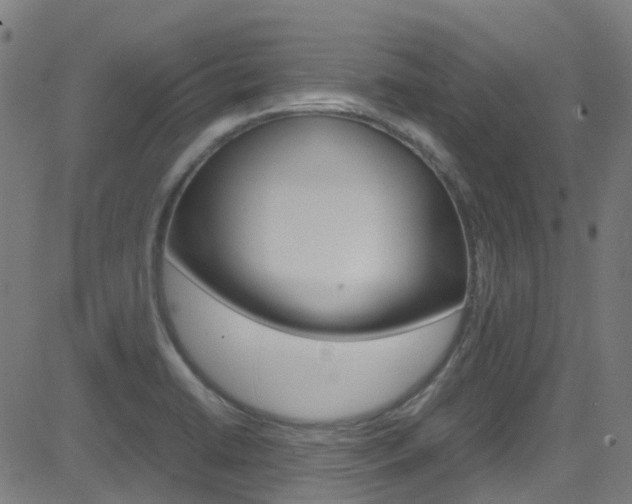 X0000083001422200702011158