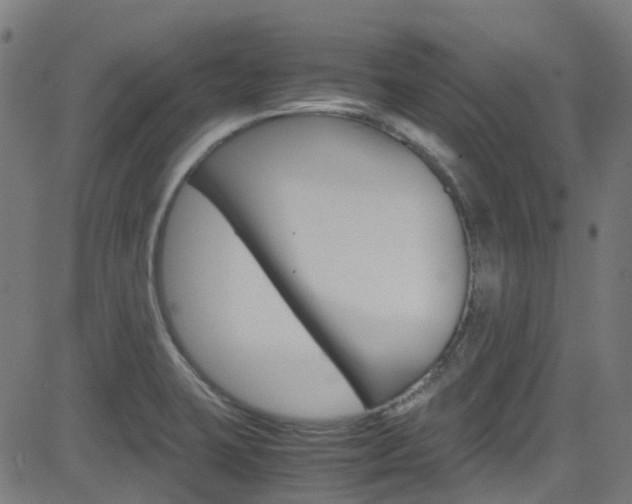 X0000083001423200702011158