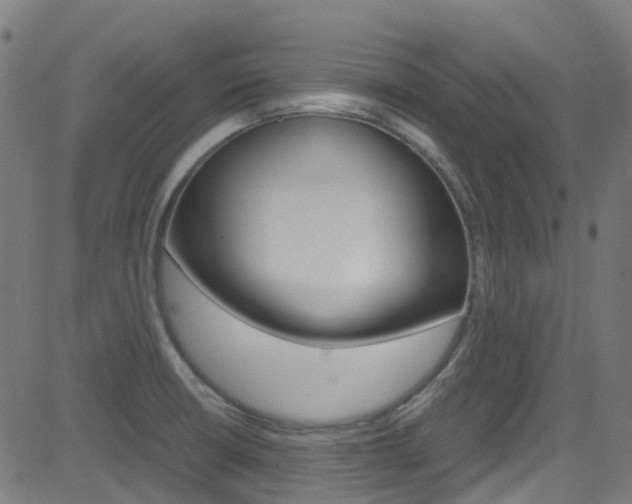 X0000083001426200702011158