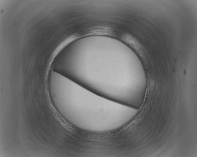 X0000083001427200702011158