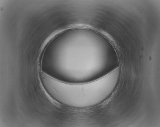 X0000083001430200702011158