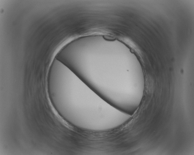 X0000083001431200702011158