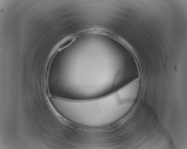 X0000083001434200702011158