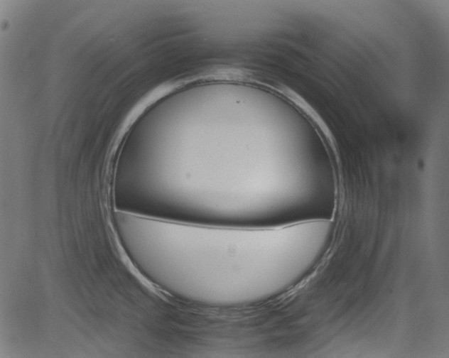 X0000083001437200702011158