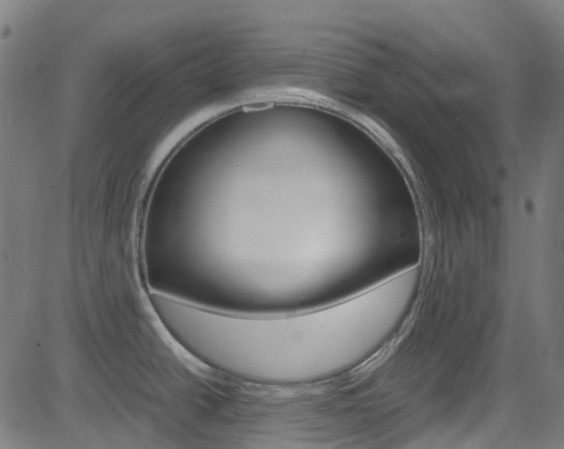 X0000083001438200702011158