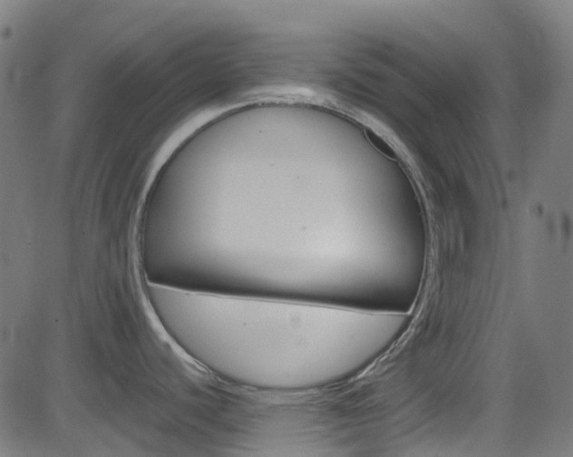 X0000083001440200702011158