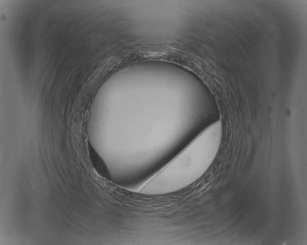 X0000083001441200702011157