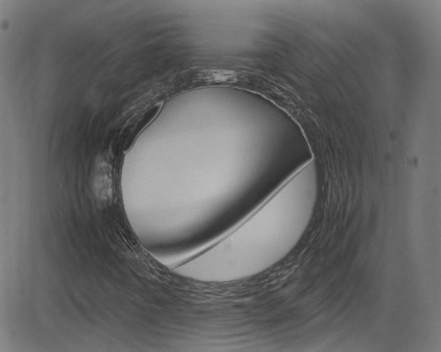 X0000083001442200702011157