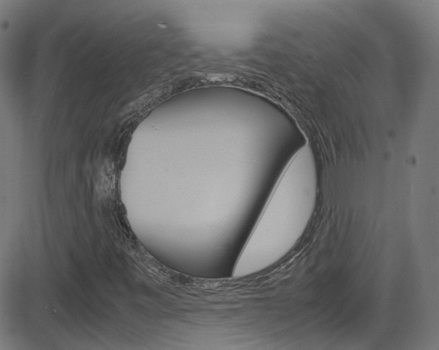 X0000083001443200702011157