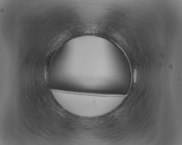 X0000083001444200702011157