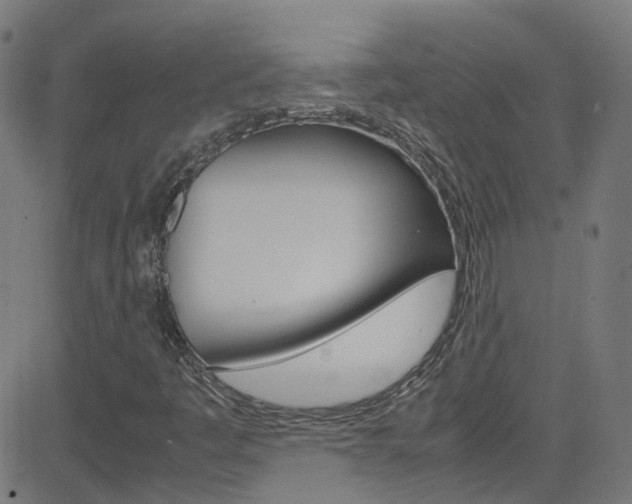 X0000083001445200702011157