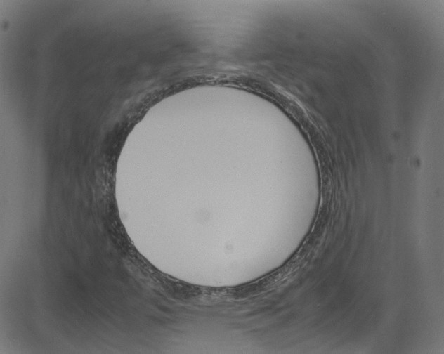 X0000083001447200702011157