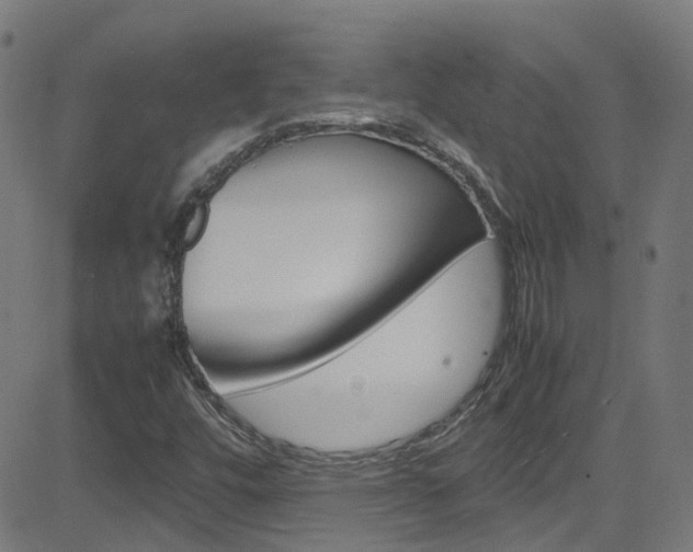X0000083001448200702011157